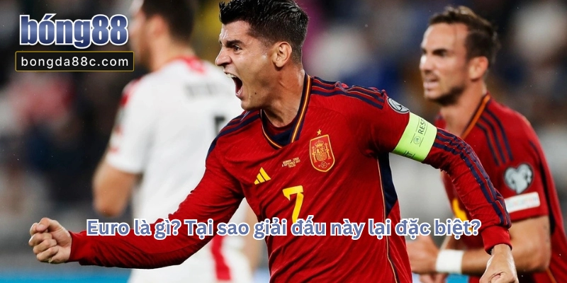 Euro Là Gì